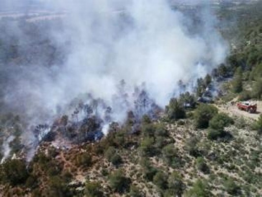 Un incendio en Ayora arrasa media hectárea de superficie