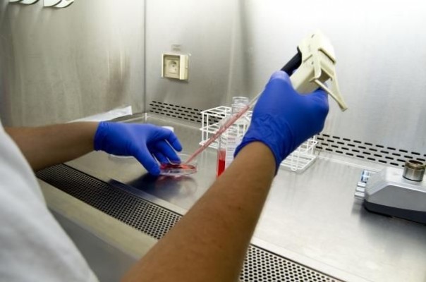 De la consulta al laboratorio: el Consell plantea regular el uso para investigación de las historias clínicas