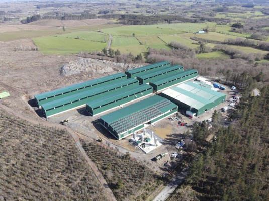 Bioflytech busca producir 100.000 toneladas de larva fresca al año desde su planta de Lugo