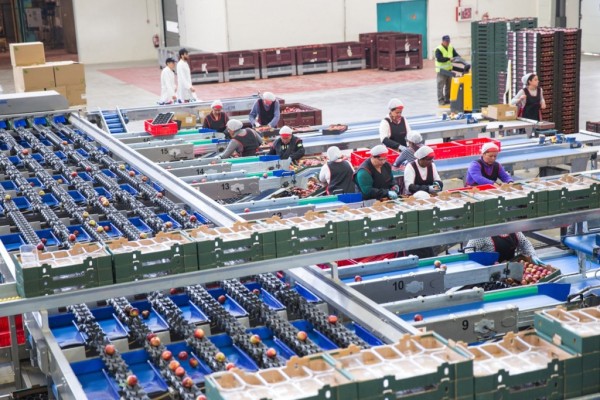 Blancasol, con 500 trabajadores en plantilla, entra en concurso para evitar la disolución