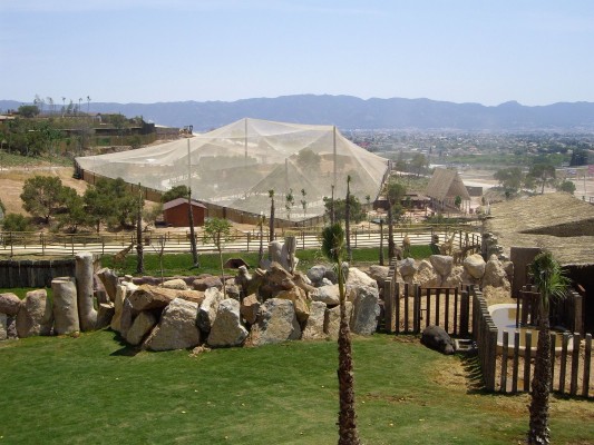 Terra Natura Benidorm espera esclarecer pronto cómo fue el ataque del tigre