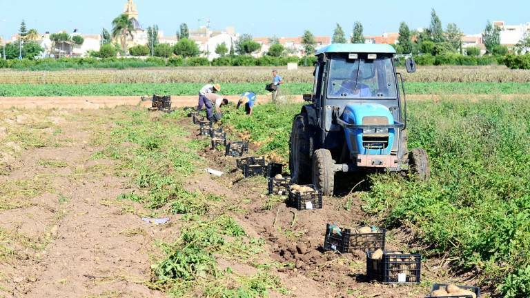 ¿Cómo se puede adaptar el seguro agrario a la alta siniestralidad?