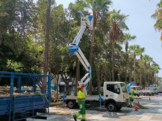 Nuevo intento: Alicante y Geamur se dan dos meses más para pactar en la contrata de jardines