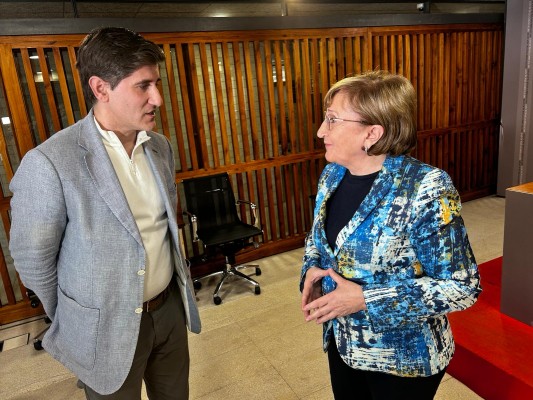 El PSOE de Alicante exige explicaciones del edil de Medio Ambiente en el pleno por los sonómetros