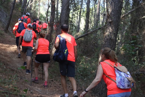 Onda conserva su espacio natural con nuevas labores de mantenimiento en Las Pirámides 


