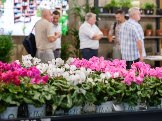 Las reservas para Iberflora 2024 crecen un 26% y alcanzan el 80% de la superficie expositiva