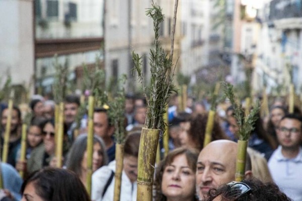Más de 1.200 agentes y voluntarios velarán por la seguridad en Santa Faz con refuerzo del transporte