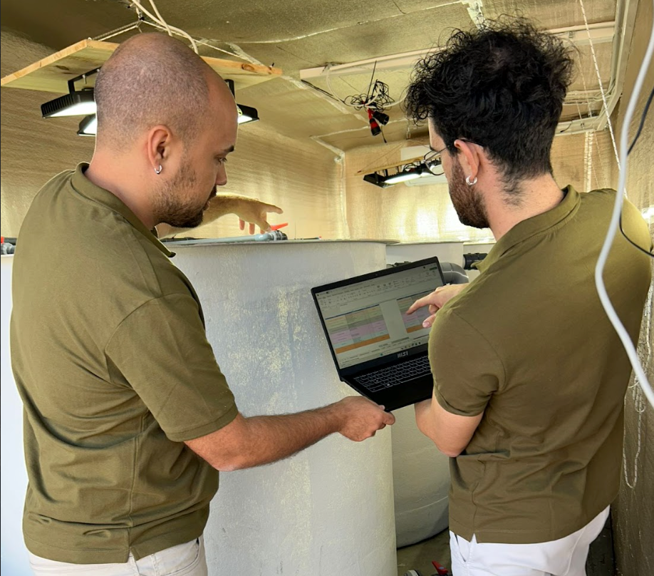 Mark Hamill casi muere durante el rodaje de 'Star Wars: El despertar de la Fuerza'