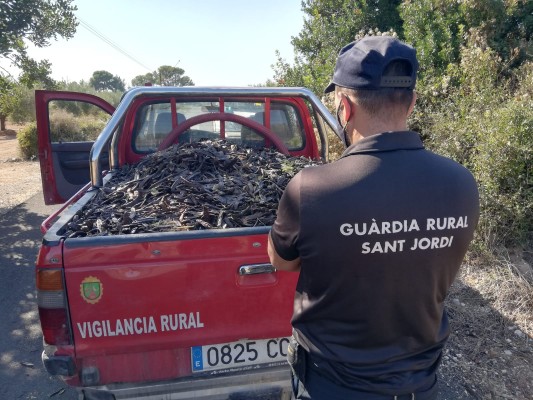 Sant Jordi refuerza la vigilancia por la 