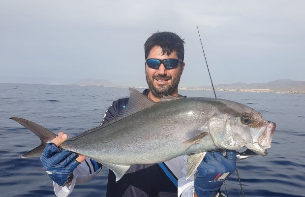 La murciana WeFish recupera la actividad y crea otra sociedad para su nueva etapa