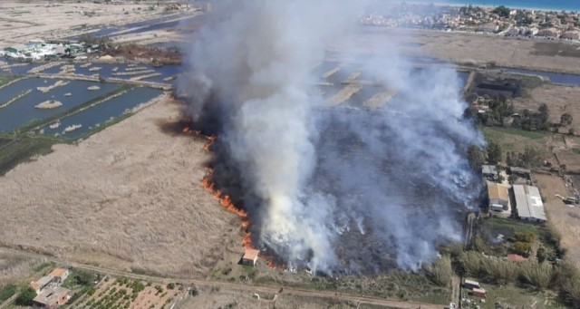 Extinguido el incendio declarado en la Marjal de L'Almardà, en Sagunt
