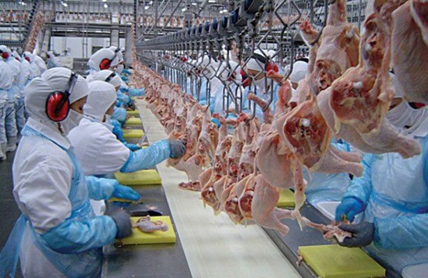 Firmado el acuerdo de revisión de los salarios de 2023 y 2024 del convenio de mataderos de aves