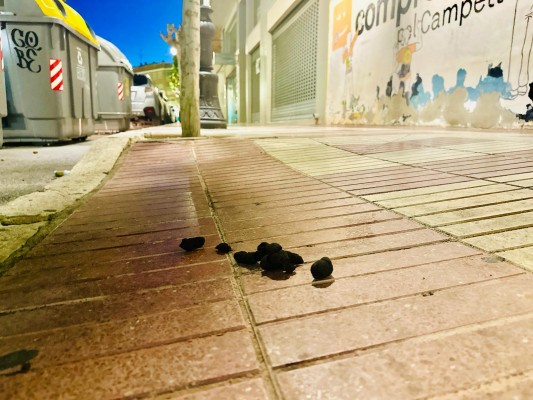 La empresa de limpieza viaria de El Campello recoge al día 200 kilos de excrementos de perros