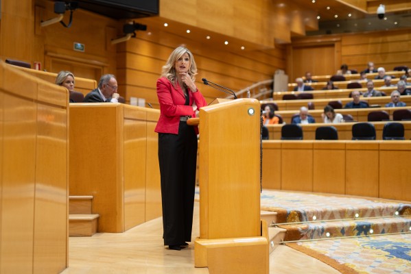 Los senadores gastaron un millón de euros en viajes en el último trimestre de 2023
