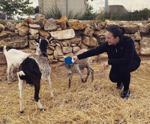 Cabanes es proposa com a referent en serveis de salut i benestar per a mascotes
