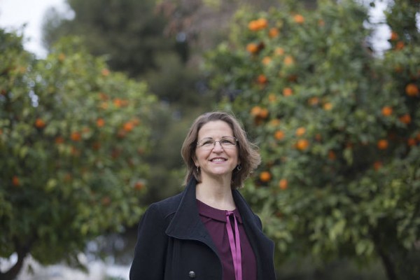 Una propuesta ambiental para la remodelación del Consell  