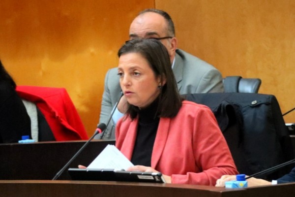 El PSOE de Benidorm lamenta que el Síndic ponga de ejemplo de falta de transparencia al Ayuntamiento