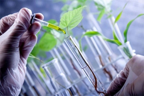 El sector de la biotecnología aumenta un 13% su cifra de negocio en España y el empleo crece un 2,9% en 2014