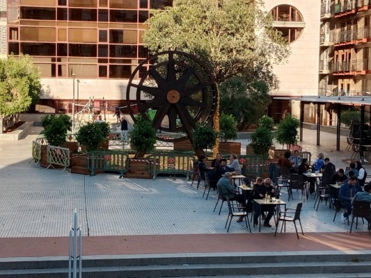 Estas son las 32 plazas y calles de Murcia que se visten de flores y color con los 'Jardines de Primavera'
