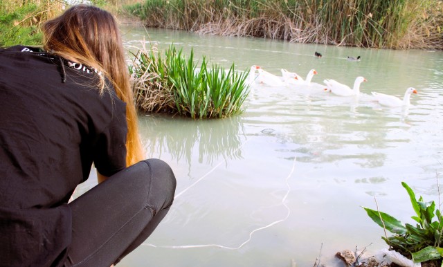 La CHS peinará el Segura en 59 localizaciones en busca de posibles nuevas especies invasoras