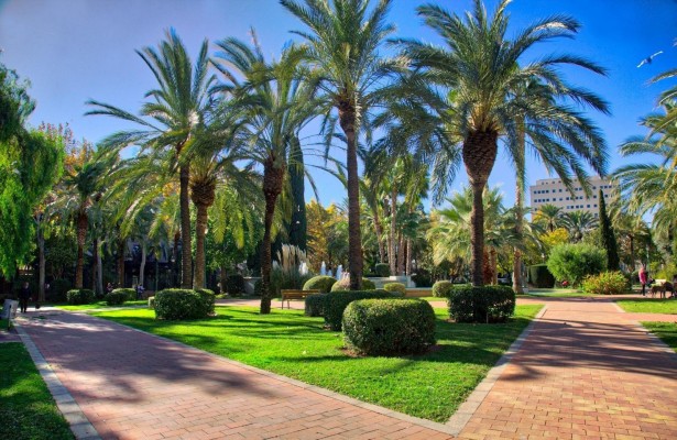 València es reconocida entre las 'Tree Cities of the World 2023' por el 
