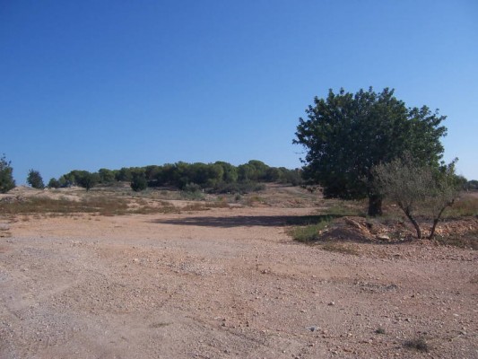 La compraventa de fincas rústicas en la Región se dispara un 9,8% en enero respecto el mismo mes de 2023