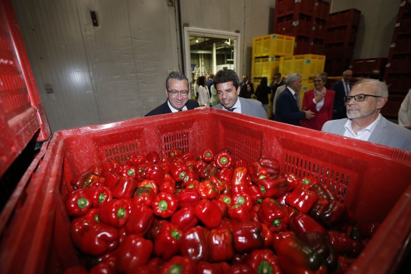 Mazón reivindica los trasvases tras proyectar 60 millones en actuaciones de depuración