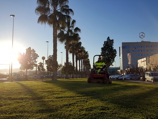 Murcia pone a punto más de 700.000 metros cuadrados de césped para las Fiestas de Primavera

