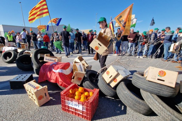 Los puertos españoles que bonifican la llegada de cítricos revisarán las tasas para 2025