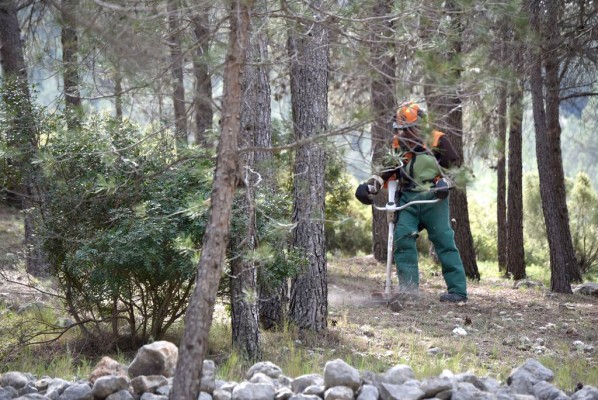 Serra, Llíria y la Mancomunidad del Camp de Túria lanzan un plan para 