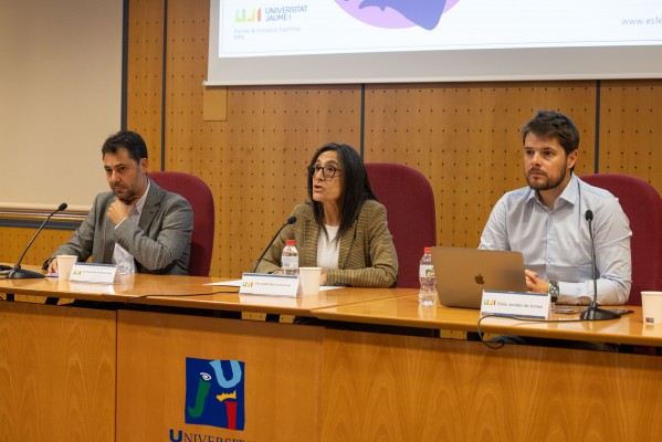La UJI estudia los incentivos de la nueva Ley del deporte con profesionales de derecho de Castellón