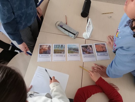 'Alicante Educa' imparte formación ambiental para 7.000 alumnos de Infantil a Secundaria