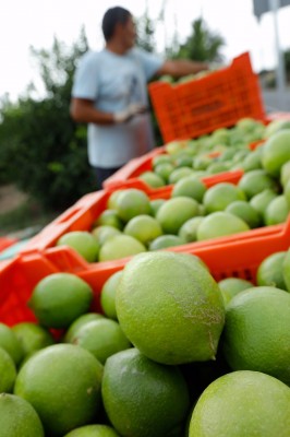 Las exportaciones del campo regional alcanzan los 6.776 millones en 2023
