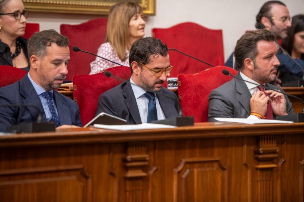 Cambios en el pleno de Elche 