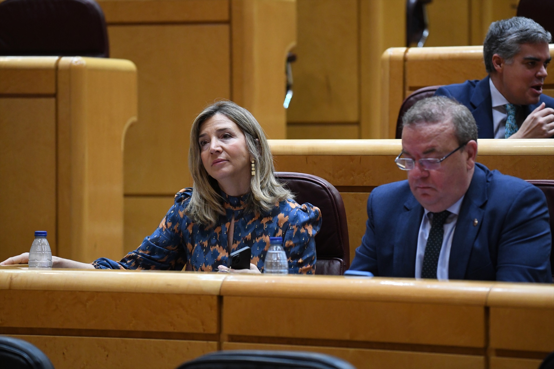 El PP avanza que el Senado planteará un conflicto de competencias con el Congreso por la amnistía
