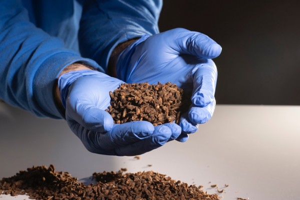 Bioflytech, con sede en Fuente Álamo, cierra una ronda de financiación por valor de 4 millones de euros