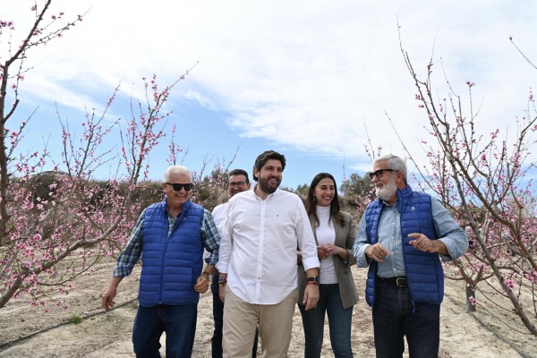 La Región, segunda provincia española que más exporta fruta de hueso
