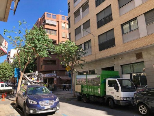 Alicante recurre al Supremo para evitar el pago de 600.000 euros a Geamur por una prórroga forzosa