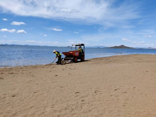 Actuar sobre la actividad urbana es esencial para recuperar el Mar Menor

