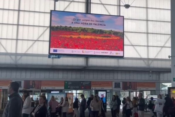 Tierra Bobal celebra su campaña anual junto con las Fallas 2024
