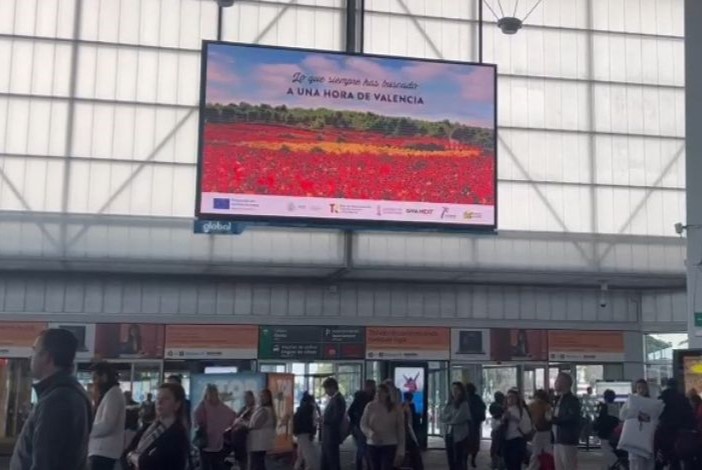 Tierra Bobal celebra su campaña anual junto con las Fallas 2024