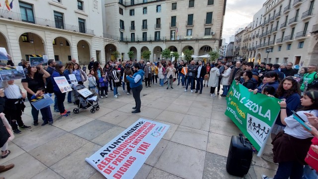 La Plataforma per l'Ensenyament Públic reclama mejoras en los centros educativos de Alicante