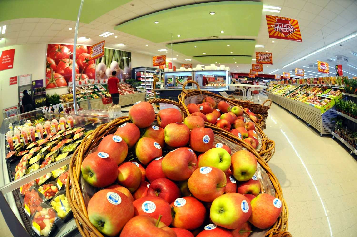 La hortofrutícola Eurogroup eleva las ventas a 260 millones pero reduce el beneficio