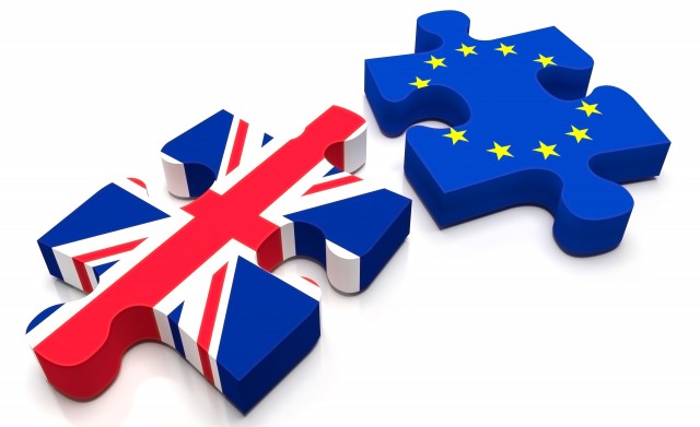 El voto de Sid Vicious al Brexit 