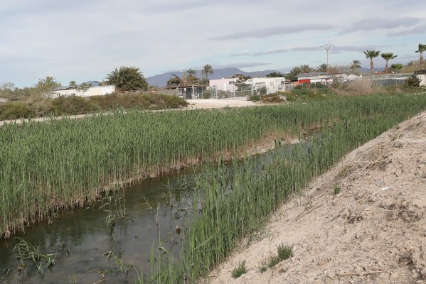 Ecologistas alegan al plan de inundabilidad de Elche: renaturalizar el Vinalopó o tanque de tormentas