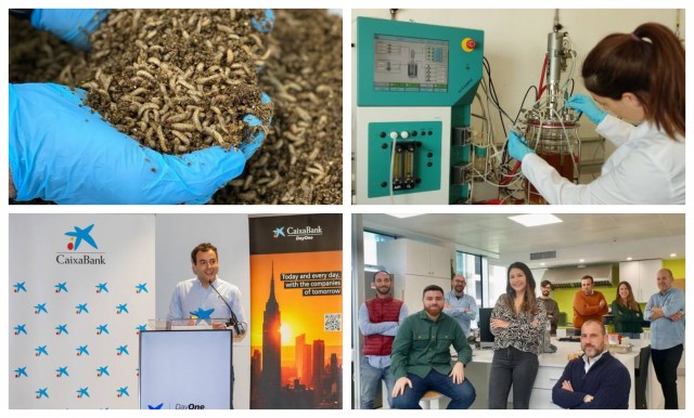 Cuatro startups murcianas entran en la élite mundial de la innovación alimentaria