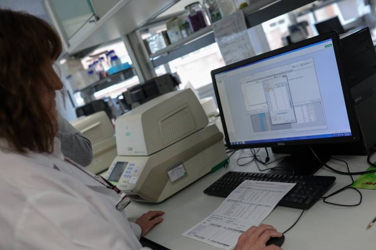 Inspección de Trabajo y Seguridad Social realizarán este año un 2,6% actuaciones más en la Comunitat