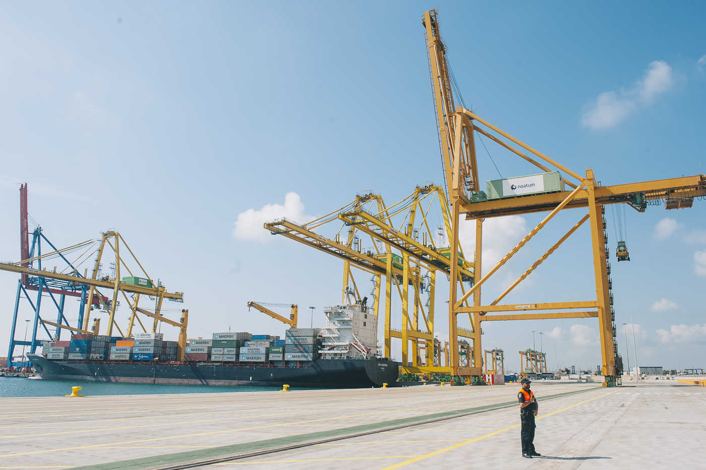 Terminal de Noatum en el Muelle de Costa. Foto: KIKE TABERNER - 