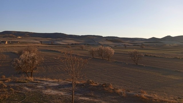 La sequía extrema que sufre la Región lleva a COAG-IR Murcia a pedir al Ministerio de Agricultura un SOS