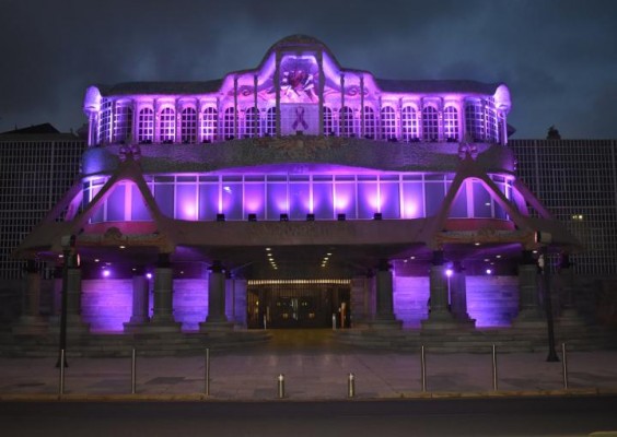 La Asamblea se ilumina de morado por el 8M